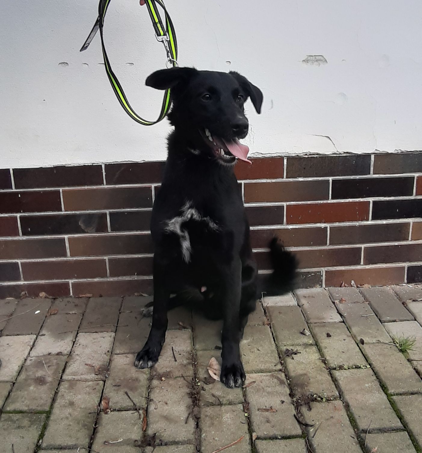 Centrum pro zvířata v nouzi - při ZOO v Ústí nad Labem